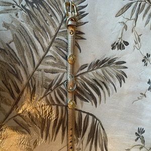 Versace inspired dog collar